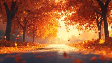 唯美秋景秋天小道1