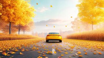 秋天自驾游金色道路黄色