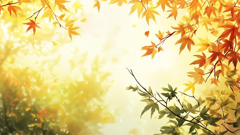 高清大图下载【趣麦麦图】枫叶电脑桌面壁纸1