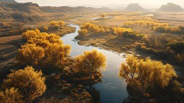漳河金秋秋色黄河漳河