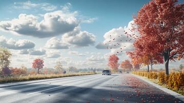 秋天的马路素材2