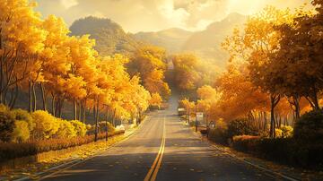 秋天的马路素材