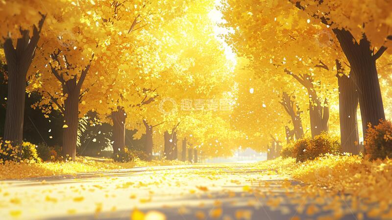 高清大图下载【趣麦麦图】金色树叶小路落叶行人3