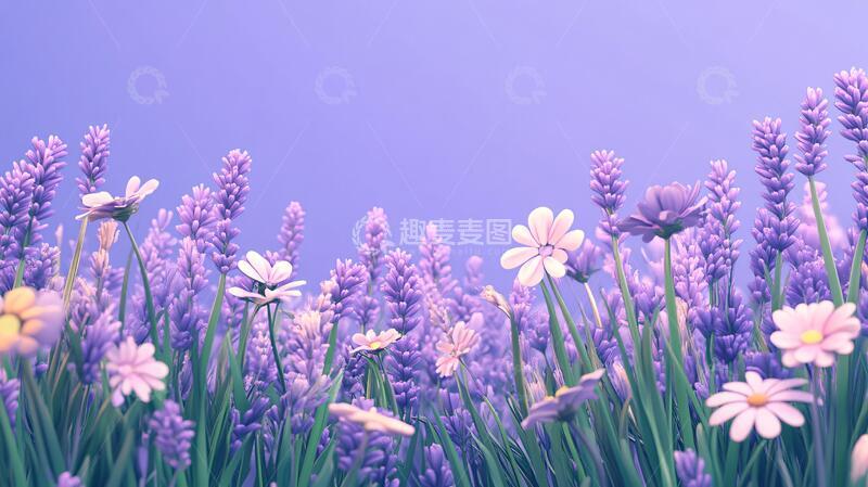 高清大图下载【趣麦麦图】紫色唯美花丛