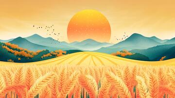 麦田插画插画小麦节气