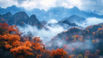 光雾山晨雾光雾云雾秦岭