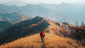 漫山金色秋色背影金色