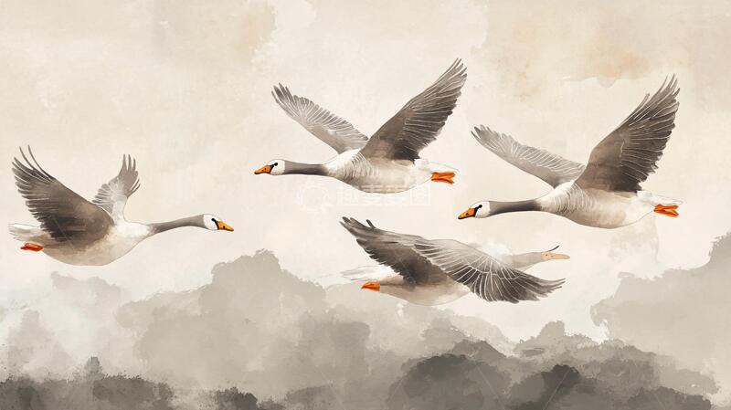 高清大图下载【趣麦麦图】鸿雁插画插画大雁手绘