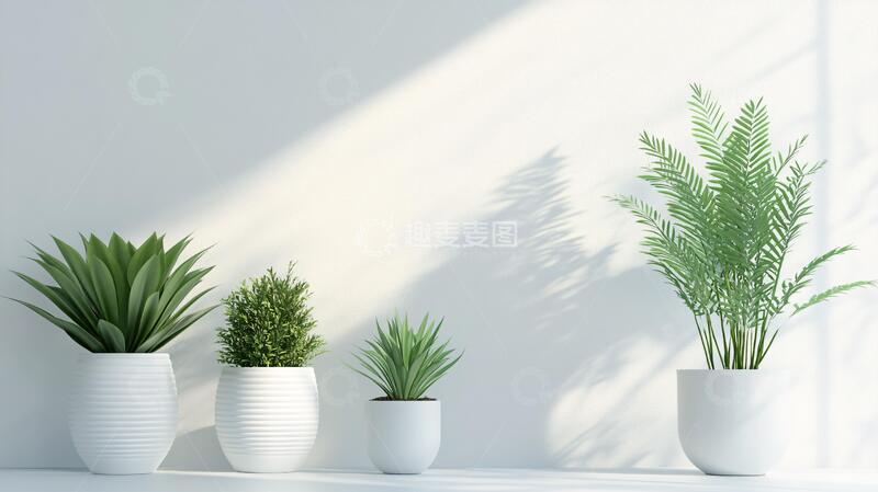 高清大图下载【趣麦麦图】室内植物端景