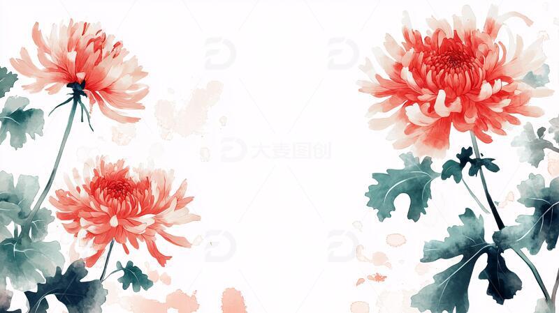 高清大图下载【趣麦麦图】菊花移门菊花手绘素材