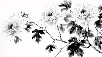水墨菊花菊花水墨手绘