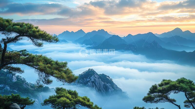 高清大图下载【趣麦麦图】雾海松涛云海松涛松树