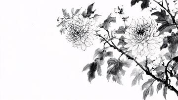 秋菊水墨菊花水墨手绘