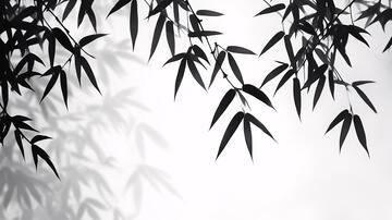 水墨竹韵水墨竹影意境