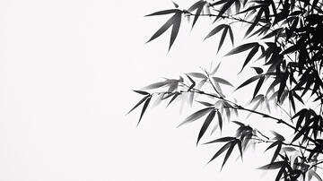 水墨竹影水墨竹影白墙