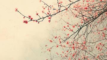 水墨红梅水墨红棉古风