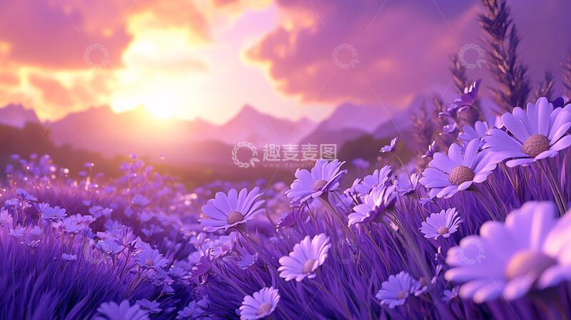 高清大图下载【趣麦麦图】唯美梦幻花田场景18