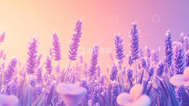 高清大图下载【趣麦麦图】唯美梦幻花田场景17