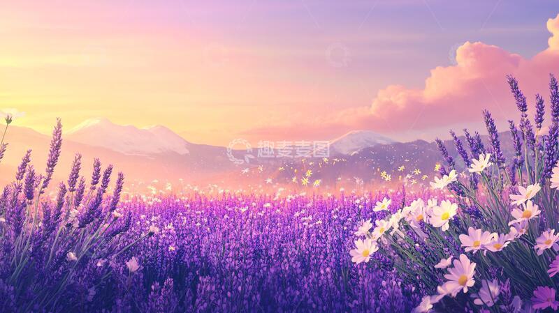 高清大图下载【趣麦麦图】唯美梦幻花田场景15
