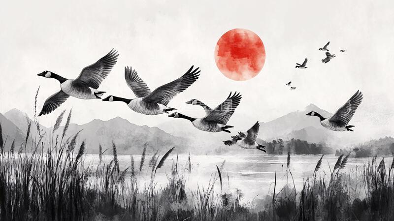 高清大图下载【趣麦麦图】鸿雁插画仙鹤插画中式