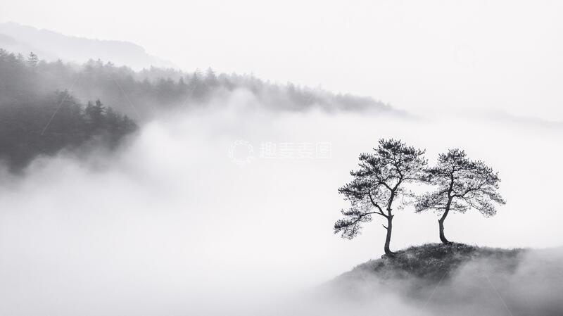 高清大图下载【趣麦麦图】雾里看松云雾雾里晨雾