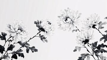 水墨菊花菊花水墨黑白