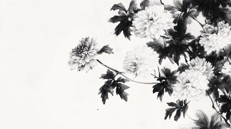 高清大图下载【趣麦麦图】水墨黑白墨菊