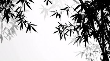 意境水墨竹水墨意境竹叶