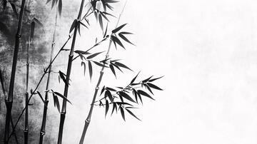 意境墨竹水墨意境竹影