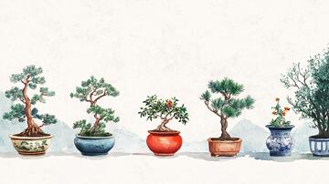 画珐琅盆景盆栽盆景手绘