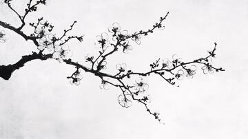 水墨枝头水墨梅花残枝