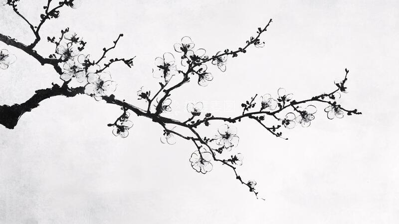 高清大图下载【趣麦麦图】水墨枝头水墨梅花残枝