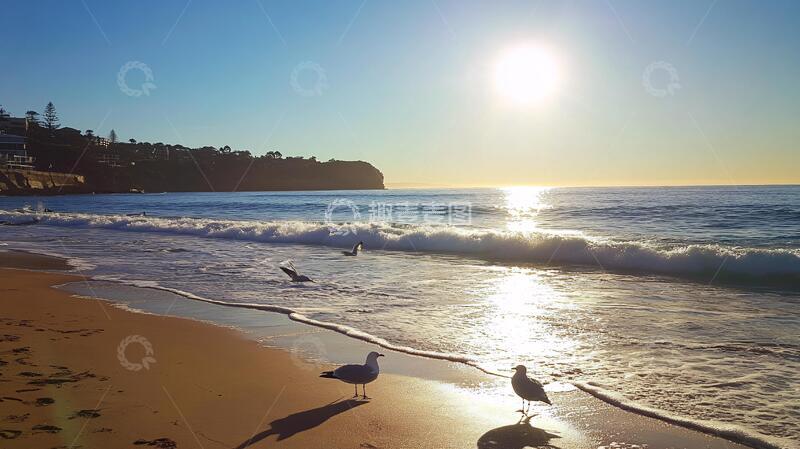 高清大图下载【趣麦麦图】悉尼邦迪海滩