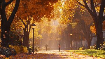 校园唯美金秋素材4