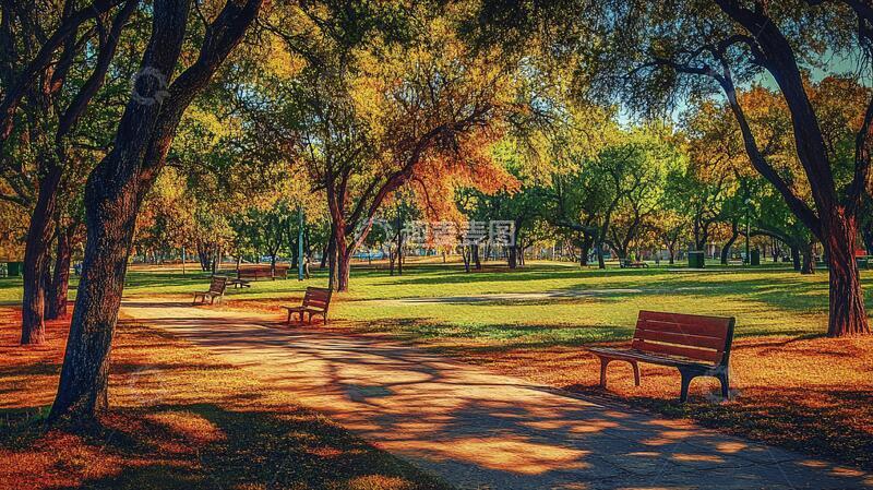 高清大图下载【趣麦麦图】阳光与清长椅