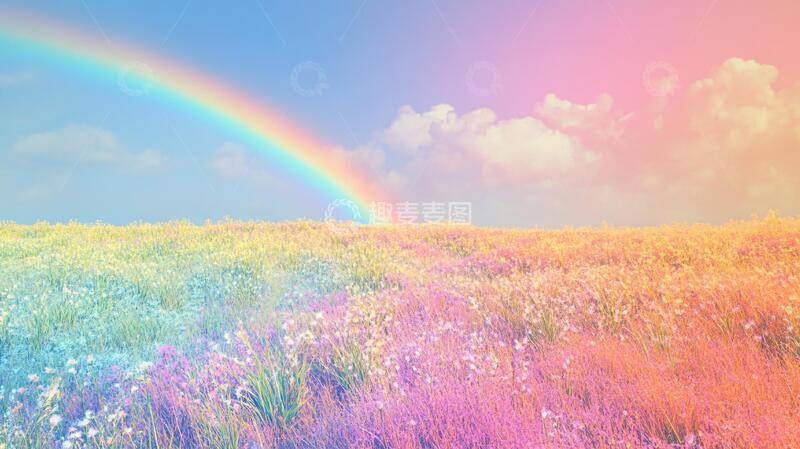 高清大图下载【趣麦麦图】草地上的彩虹