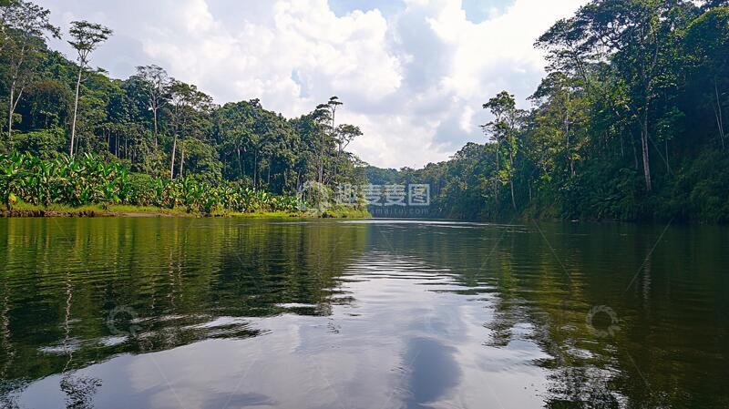 高清大图下载【趣麦麦图】亚马逊雨林丛林景象森林