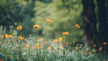 唯美黄秋英背景1