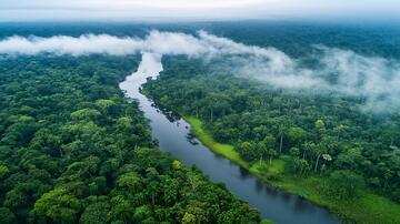 亚马逊森林森林河流景象