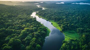 亚马逊河流森林河流雨林