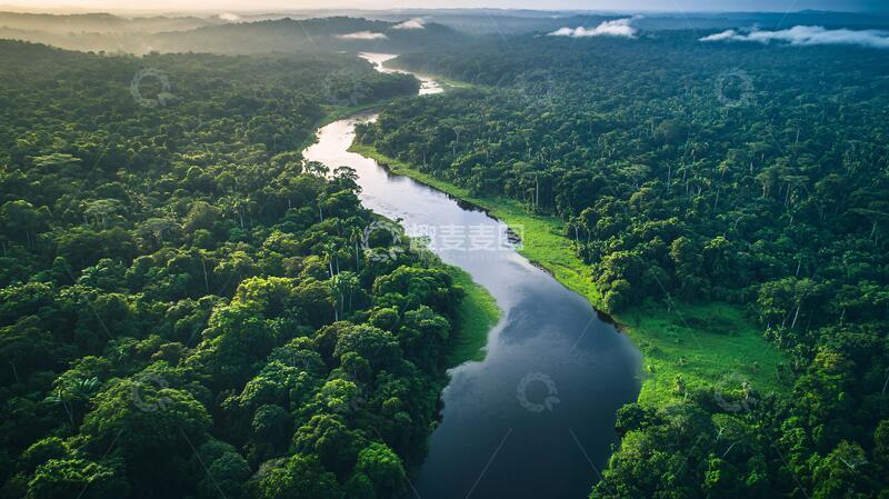高清大图下载【趣麦麦图】亚马逊河流森林河流雨林