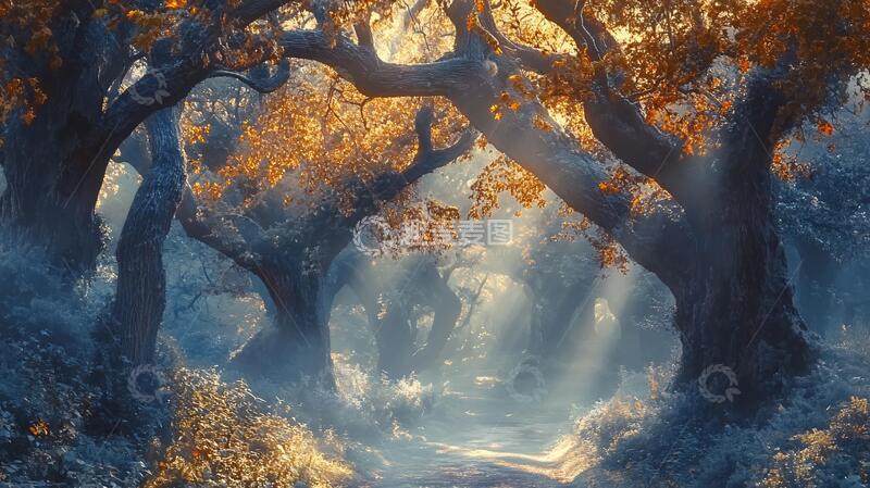 高清大图下载【趣麦麦图】大树梦幻森林2