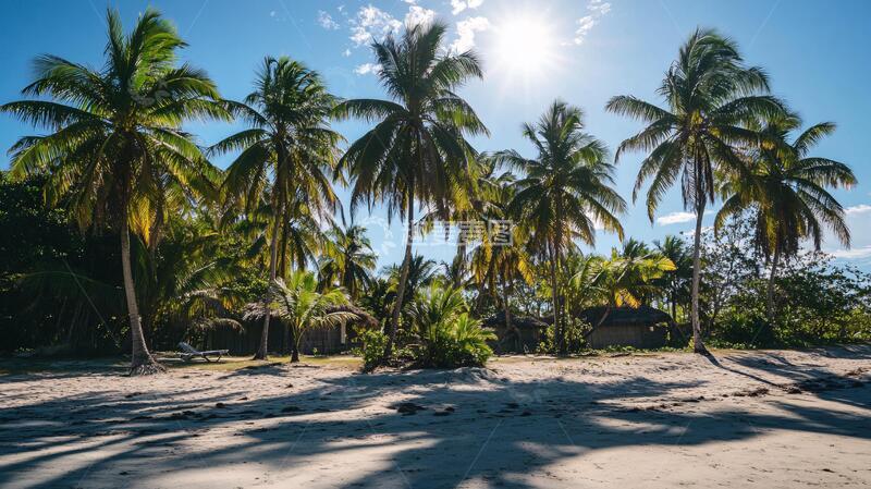 高清大图下载【趣麦麦图】海岛椰林椰林椰树海岛