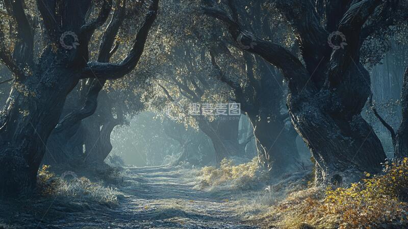 高清大图下载【趣麦麦图】大树梦幻森林1