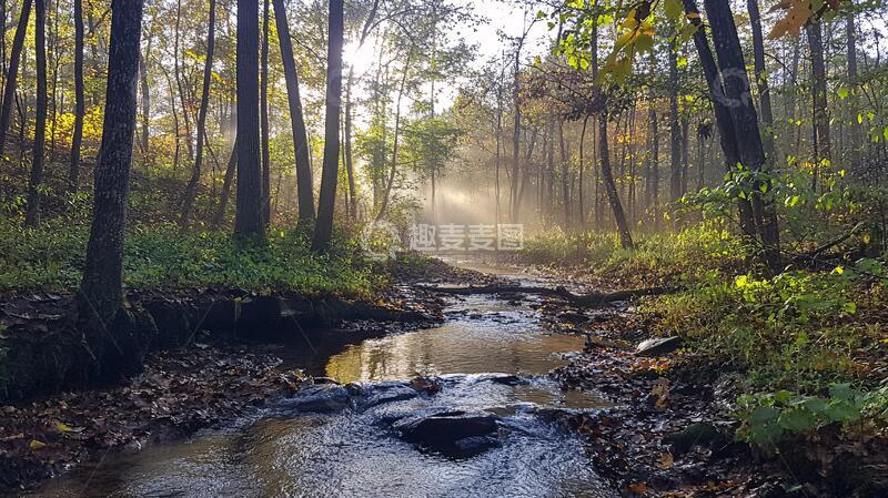 高清大图下载【趣麦麦图】秋季清晨晨雾森林河流