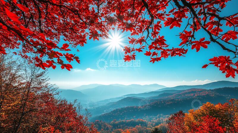 高清大图下载【趣麦麦图】枫树满山红叶