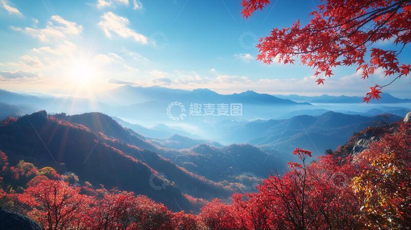 高清大图下载【趣麦麦图】红枫早晨风光4