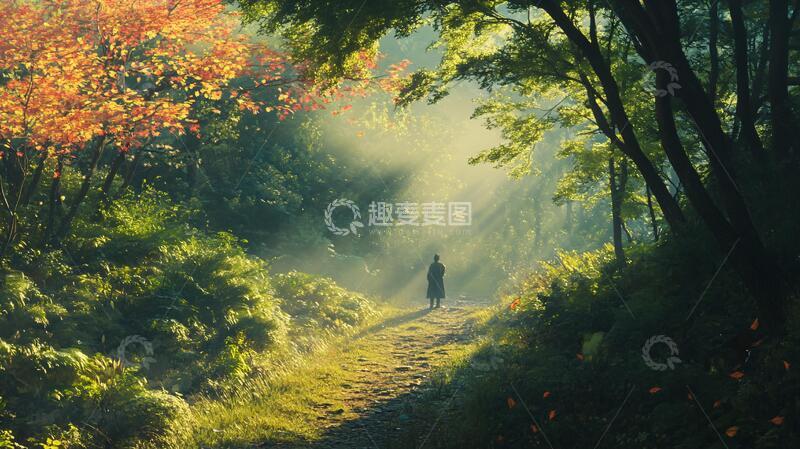 高清大图下载【趣麦麦图】林中小道壁纸6
