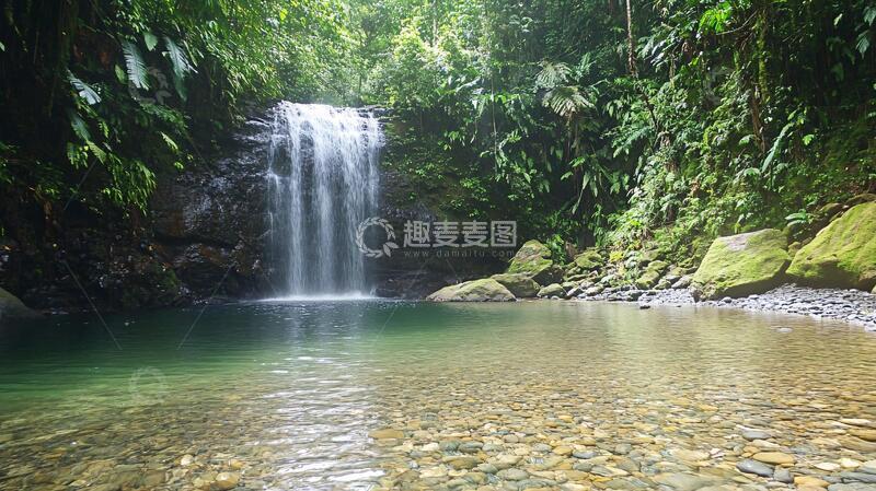 高清大图下载【趣麦麦图】含羞瀑布瀑布森林含羞