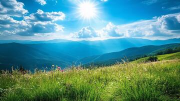 草原上的一束阳光